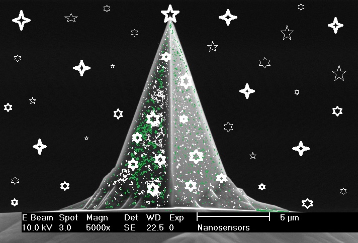 NANOSENSORS PointProbe Plus AFM probe holiday edition