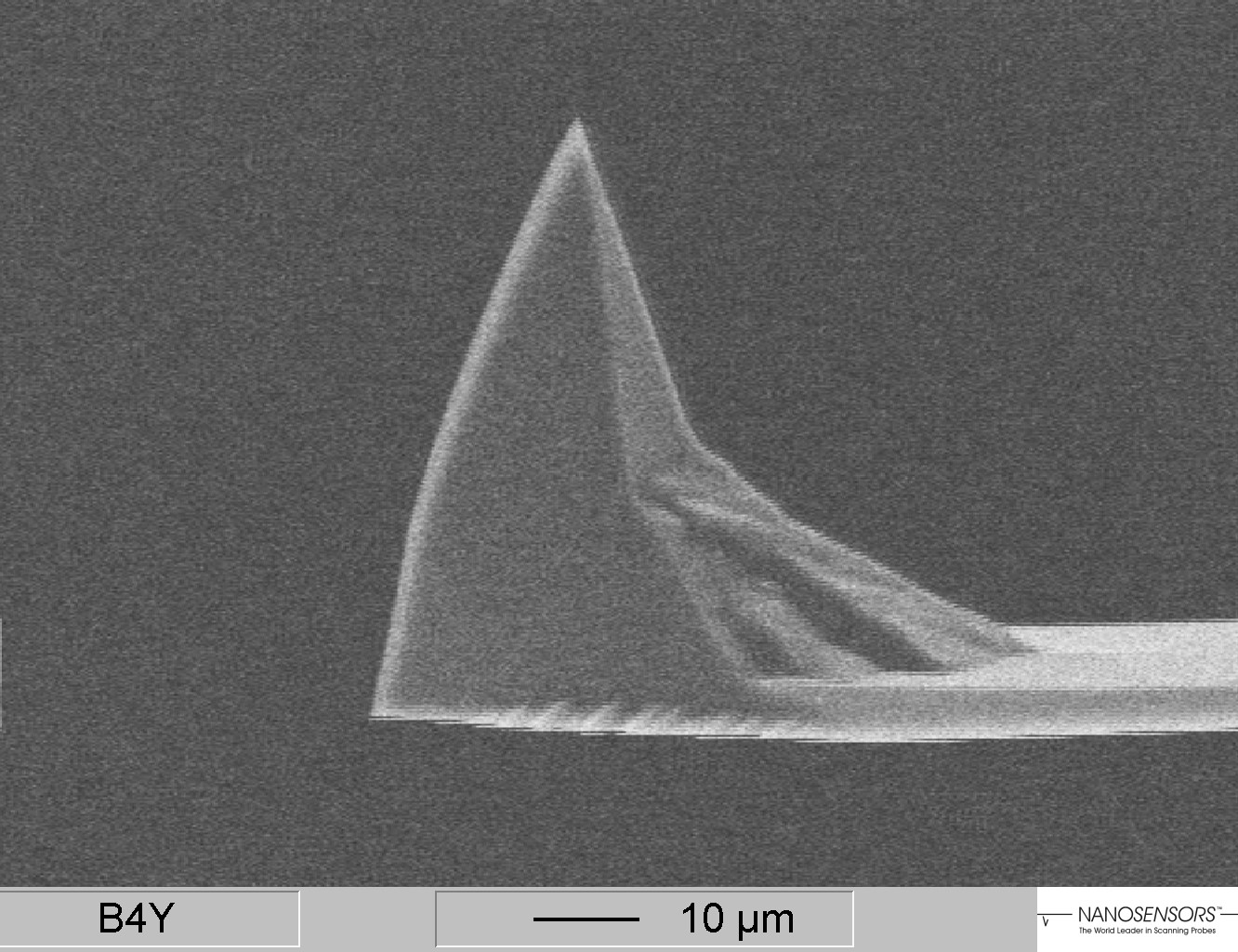 NANOSENSORS extra tall PointProbe Plus AFM tip - tip height 50µm - typical tip radius 10nm