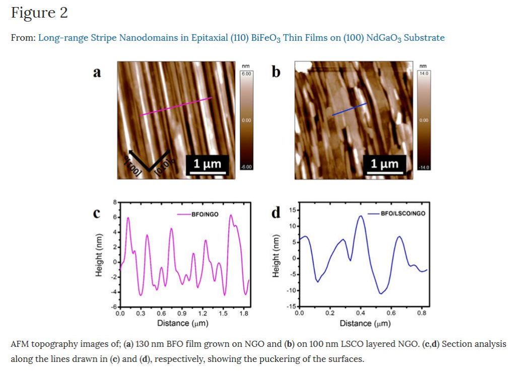 PPP-EFM | Blog  NANOSENSORS  R&D Leaders in AFM Probes Since 1990 ...