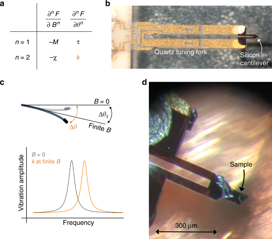 Figure 1 from "Resonant torsion magnetometry in anisotropic quantum materials": Schematic overview of resonant torsion magnetometry. a First and second derivatives of the free energy with respect to the magnetic field B and the field orientation θ. b The quartz tuning fork of the Akiyama A-probe (http://www.akiyamaprobe.com) is electrically excited at the lowest-resonance mode of the silicon cantilever, producing a large out-of-plane motion at the tip of the cantilever. c Schematic representing the principle of measuring the magnetotropic coefficient k. In a magnetic field, the magnetic torque brings the lever to a new equilibrium position. The magnetic energy of the samples changes the effective stiffness of the lever, leading to a shift in the resonant frequency. d The silicon cantilever glued to each leg of the quartz tuning fork with a single crystal of RuCl3 mounted at the tip with Bayer silicone grease