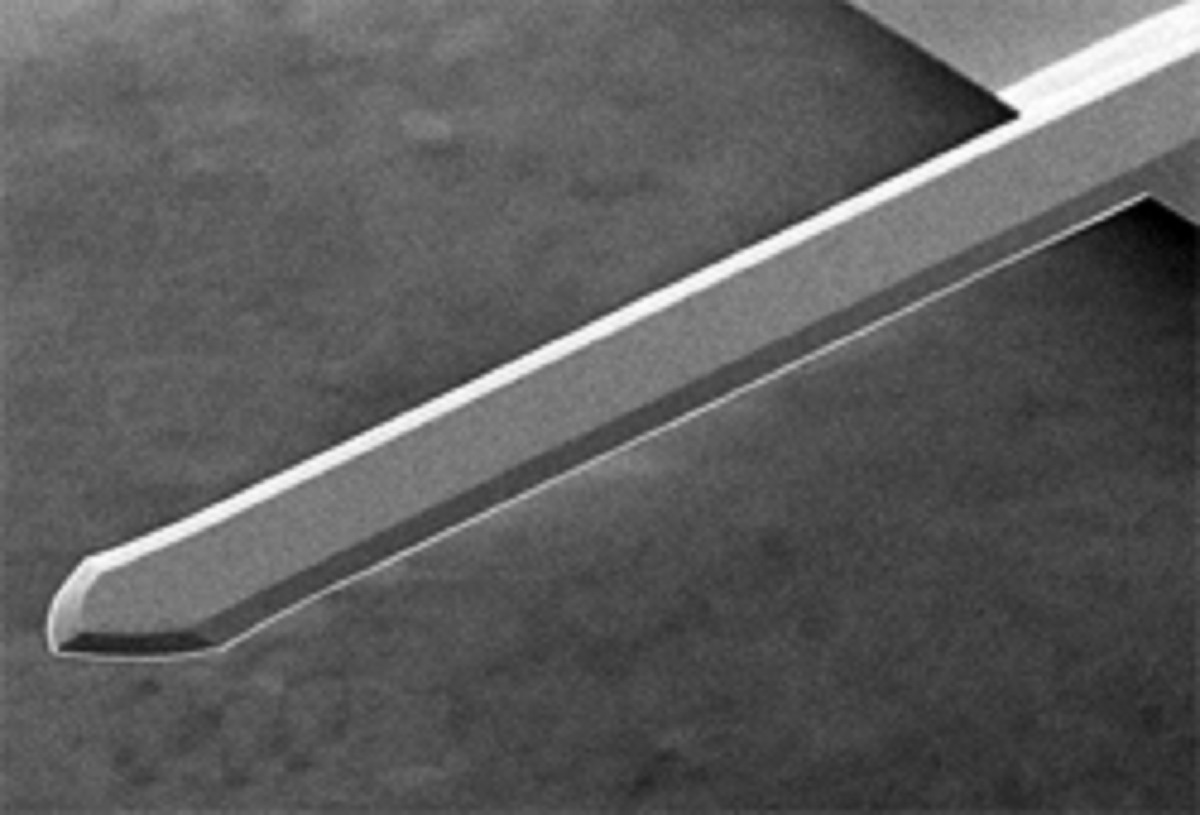 NANOSENSORS™ tipless cantilever for various applications in atomic force microscopy and force measurements