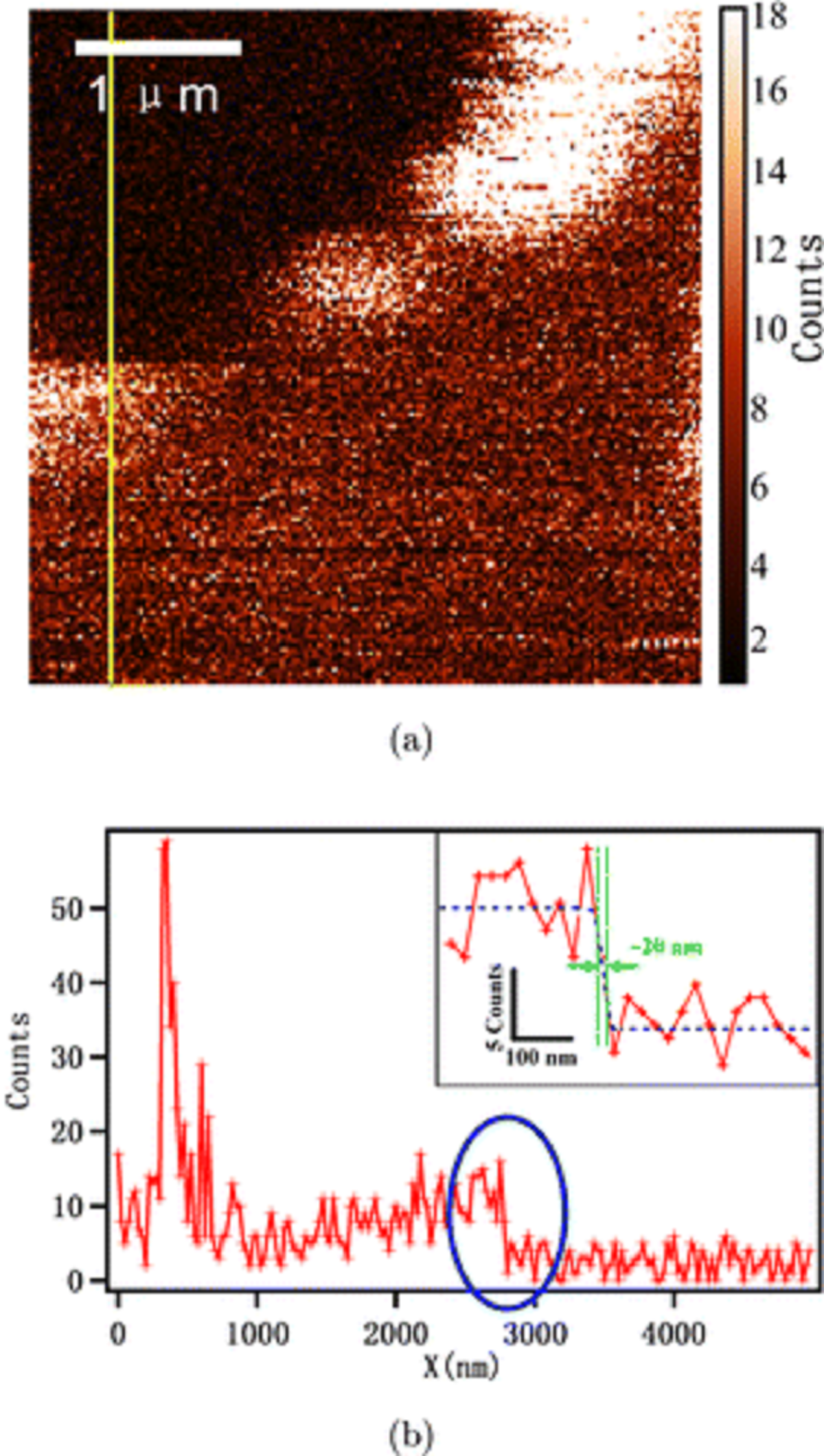 Fig. 6. from “High-resolution imaging of graphene by tip-enhanced coherent anti-Stokes Raman scattering “ by Xiaolong Kou et al. (a) TECARS imaging of graphene. (b) Signal intensity measurement of the yellow line in (a). First single atom layer TECARS (tip-enhanced coherent anti-Stokes Raman scattering ) imaging on Graphene with the highest resolution about 20nm