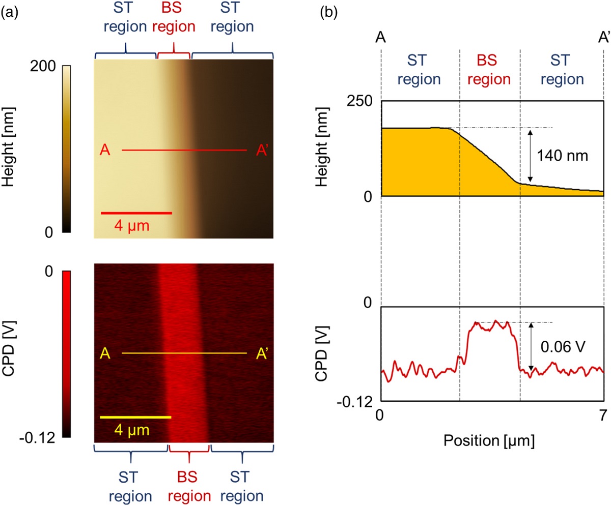 Fig. 2 from “Conductive-probe atomic force microscopy and Kelvin-probe force microscopy characterization of OH-terminated diamond (111) surfaces with step-terrace structures” by Masatsugu Nagai et al.:
(Color online) (a) The topographic image and CPD map of the OH-terminated diamond (111) surface with ST and BS regions. (b) the cross sectional image and CPD profile corresponding to the line A-A' in the Fig. 2(a).
