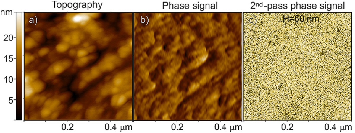 Figure 7 from “From Polymer to Magnetic Porous Carbon Spheres: Combined Microscopy, Spectroscopy, and Porosity Studies” by F. Cesano et al:
Three images described from left to right of Fe3O4-based carbon microspheres: first image on the left (a) AFM topography, middle image (b) the related phase signal, and the image on the right (c) MFM phase shift images at H = 60 nm lift height obtained in a second scan. The phase shift range in (c) is ~ 0.6 m°.
