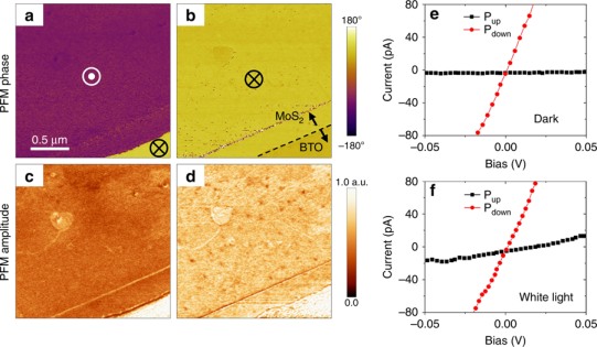 Optical control of polarization in ferroelectric heterostructures ...