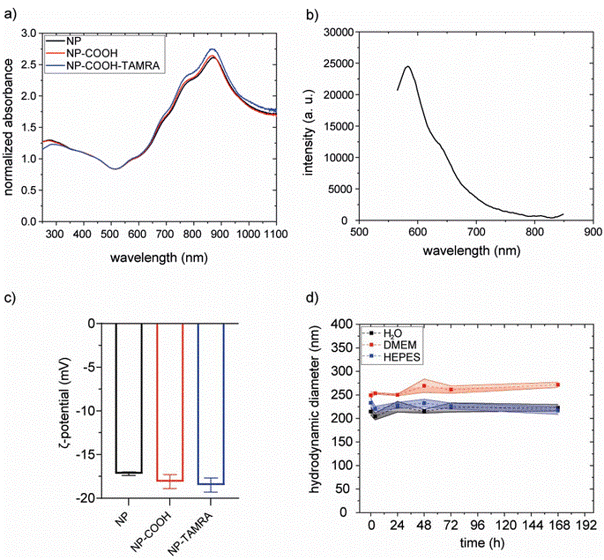 Fig. 6 (a) Normalized (@450 nm) extinction spectra of bare NPs
