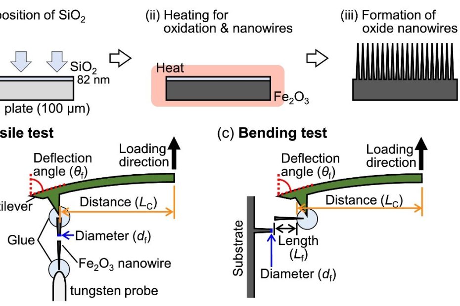 Fig. 1. (a) Formation process of Fe2O3 nanowires. Schematics of (b) tensile and (c) bending tests conducted on single Fe2O3 nanowires.