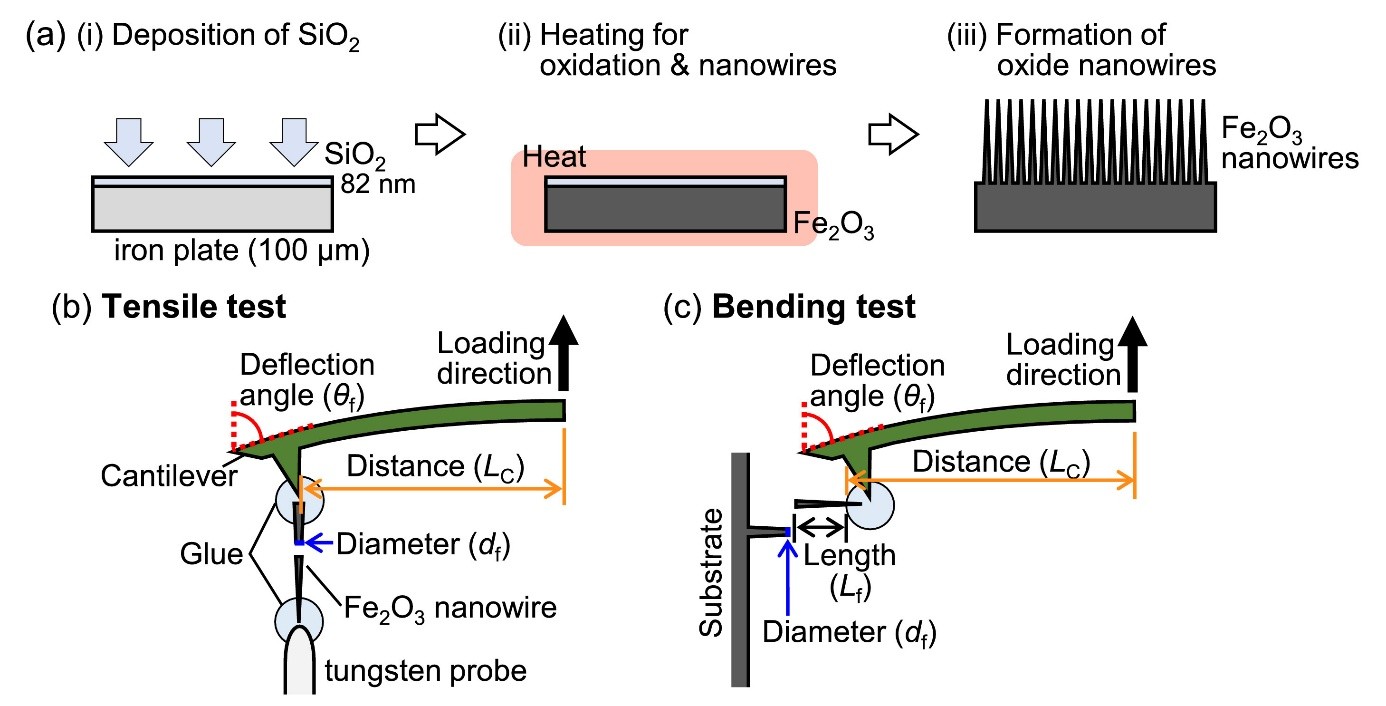 Fig. 1. (a) Formation process of Fe2O3 nanowires. Schematics of (b) tensile and (c) bending tests conducted on single Fe2O3 nanowires.