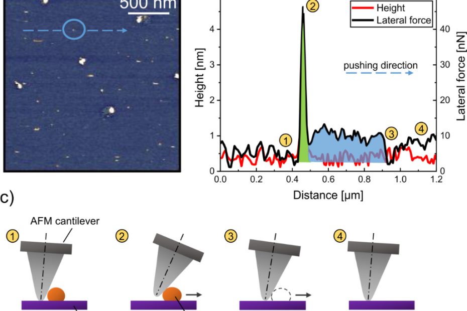 Multi-panel figure showing AFM topography of a selected Cu nanoparticle, its height and lateral-force response during pushing, and a schematic of the AFM manipulation sequence used to estimate nanoparticle–substrate adhesion.